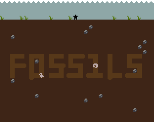 Fossils Image