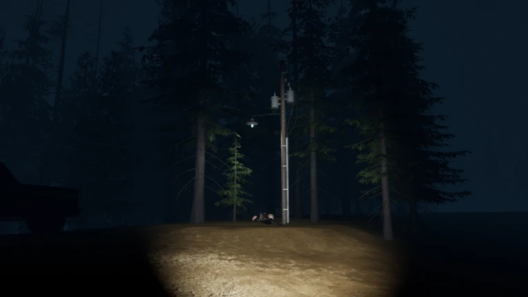 Stray Light Image