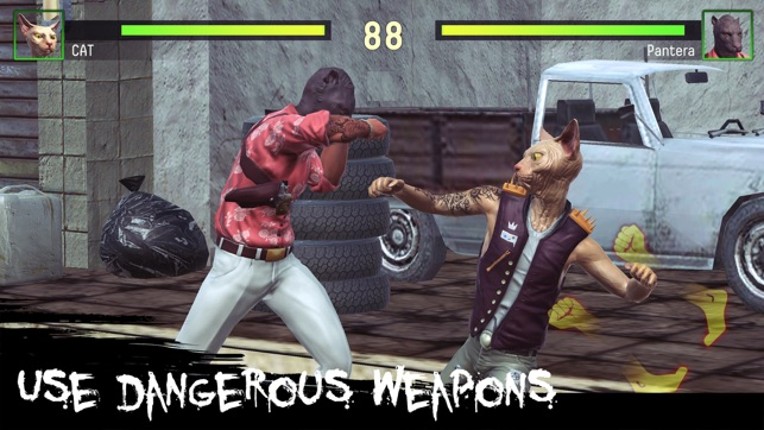 Wild Fighting 3D -Street Fight screenshot