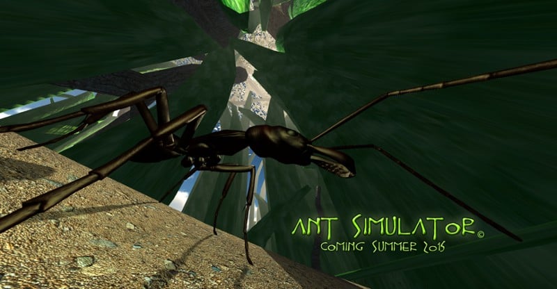 Ant Simulator Image
