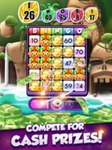 Bingo Duel Cash Win Real Money Image