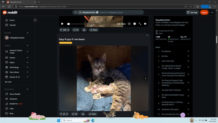 Digital Desktop Cats screenshot