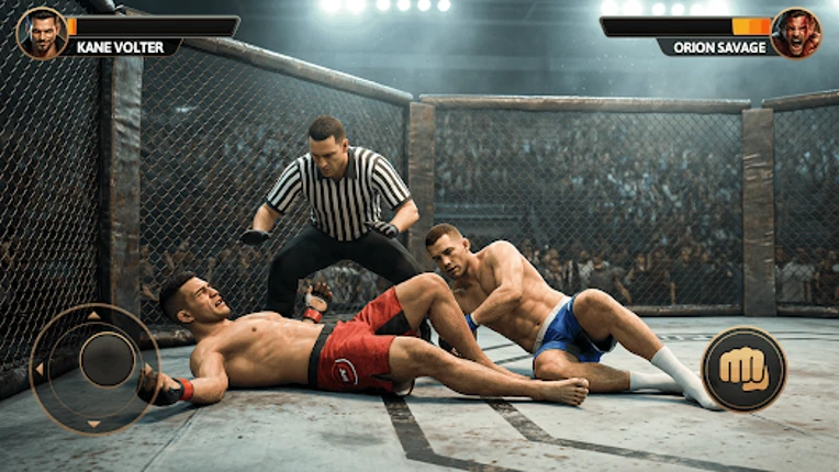 Wrestling 3d: Revolution Game Image