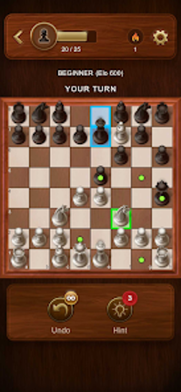 Chess Master: Board Game Image