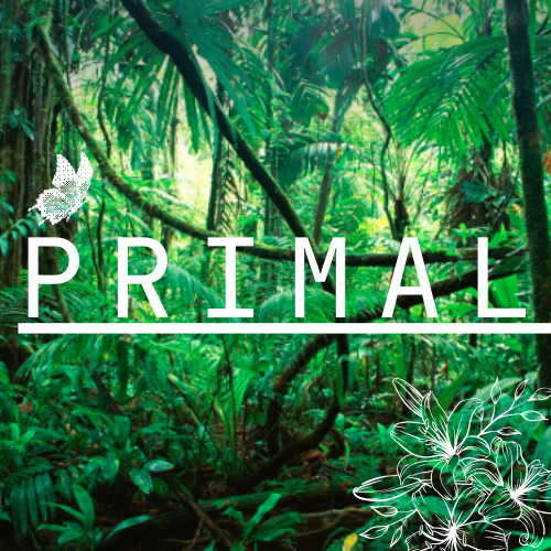 Games like Primal
