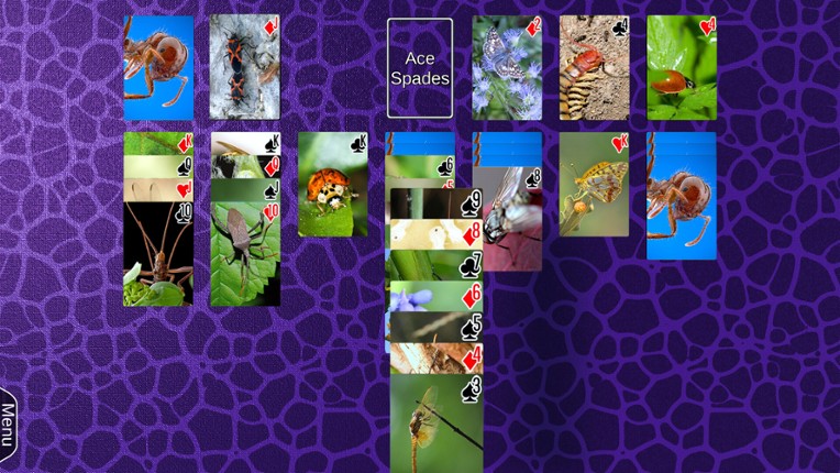 Wyvern Studios Solitaire: 30th Aniversary Edition screenshot