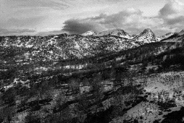 You will be warm Image