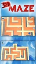 3D Wooden Classic Labyrinth  Maze Games with traps Image