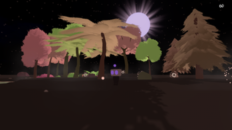 Ephemeral Canvases Image