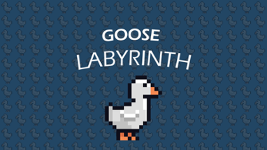 Goose Labyrinth Image