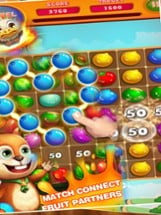 Garden Fruit Link Deluxe - Match 3 Fruit Mania Image