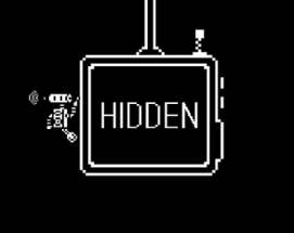 HIDDEN Image