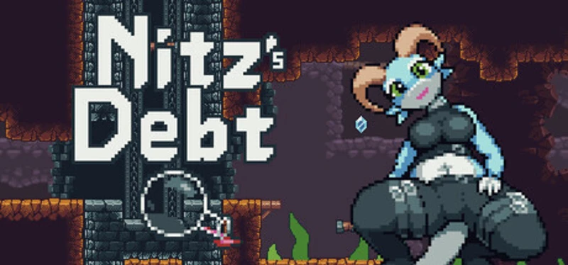 Nitz's Debt Image