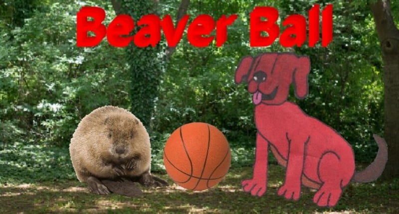 Beaver Ball Game Cover