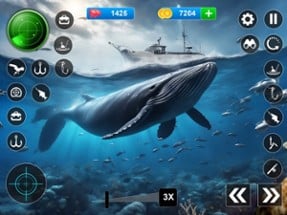 Blue Whale Survival Challenge Image