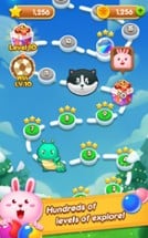 Bubble Master: Journey Image