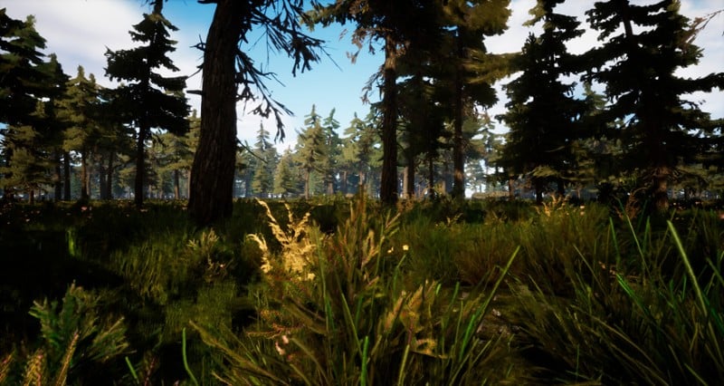 Deadly Survival Image