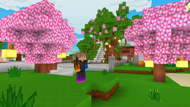 MiniCraft Village Image