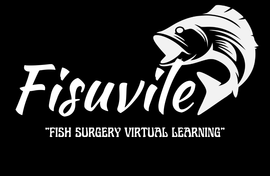 Games like Fisuvile