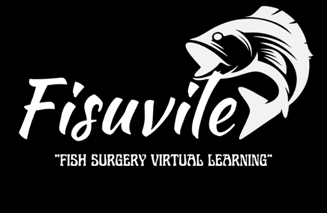 Fisuvile Image