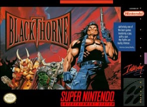 Blackthorne Image