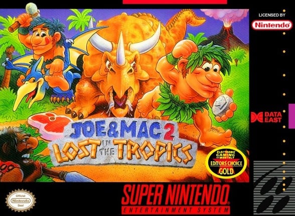 Joe & Mac 2: Lost in the Tropics Game Cover