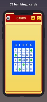 Bingo Cards by Bingo at Home screenshot