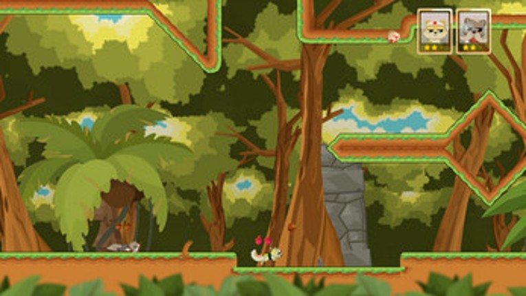 Hazelrun Image