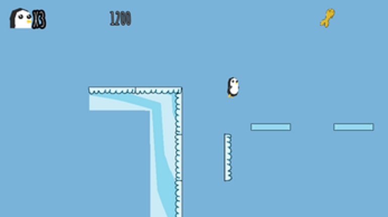 Penguin Slider Image