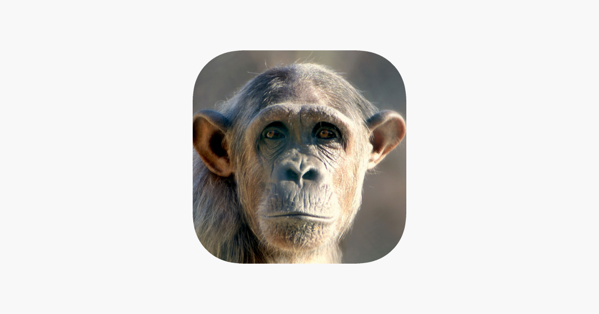 Games like Animal puzzle - educational games for girls &amp; boys