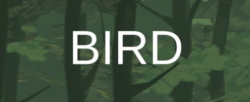 Games like BIRD