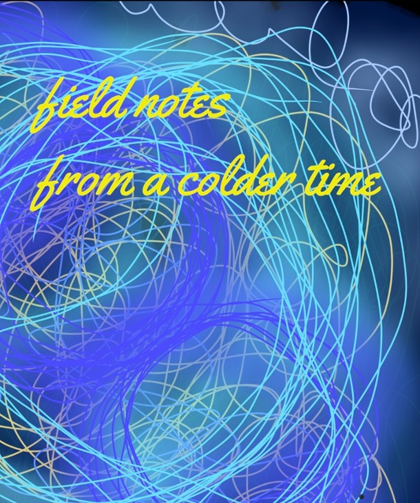 Games like Field Notes From A Colder Time