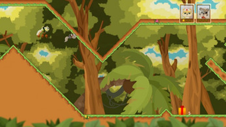 Hazelrun Image