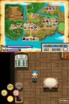 Harvest Moon DS: Island of Happiness Image