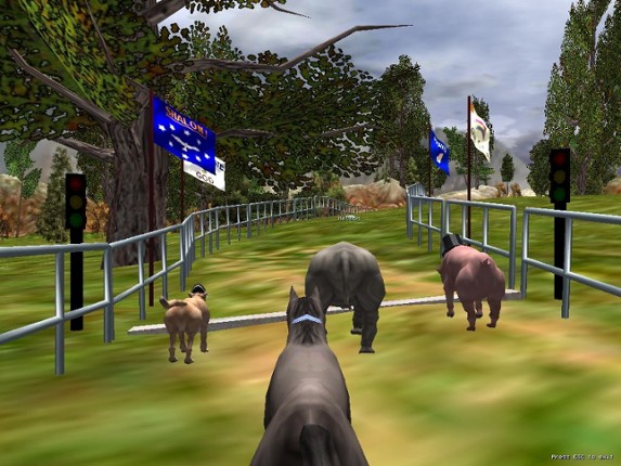 The Zoo Race Image