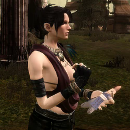 Dragon Age: Origins - Feastday Gifts and Pranks screenshot