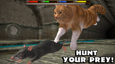 Ultimate Cat Simulator Image