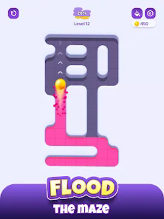 Color Maze Adventure Image