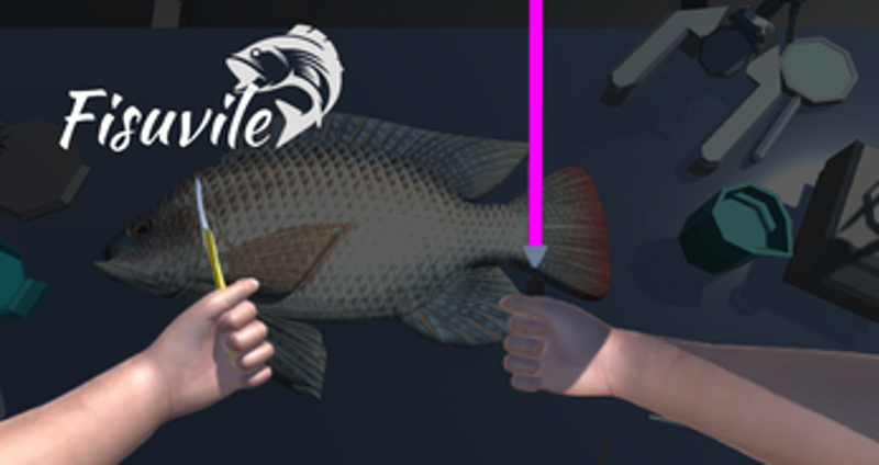 Fisuvile Image