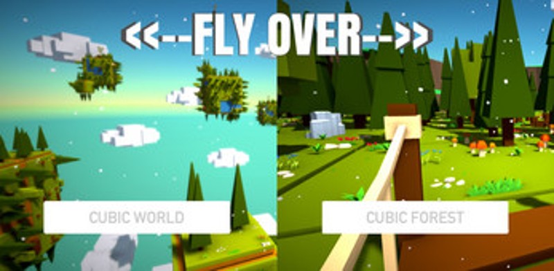 FLY OVER Image