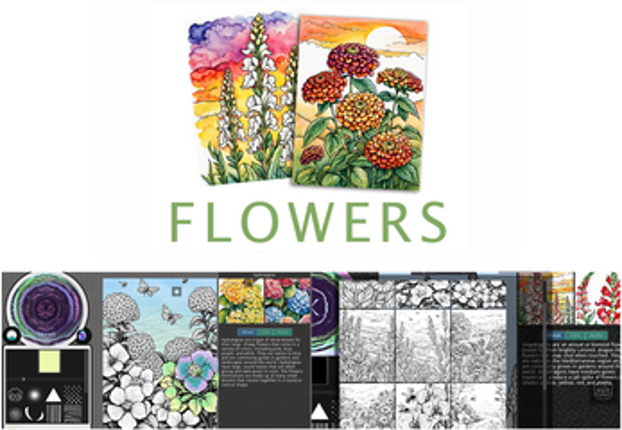 ColoringBox Image