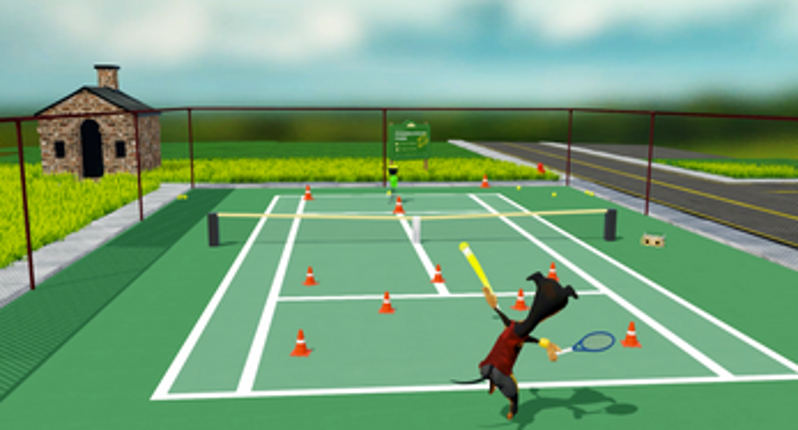 Game, Set, Fetch! Image
