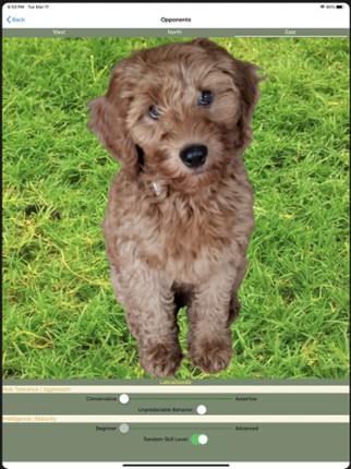 K9 Shanghai Rum: Phase Rummy Image