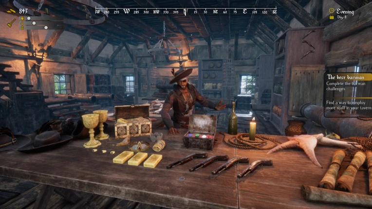 Pirate's Den Renovator screenshot