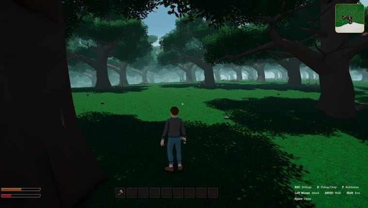 The First Library Image