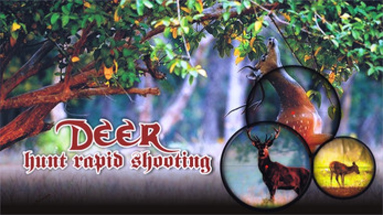 Deer Hunter Rapid Shooting Image