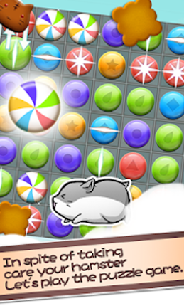 Hamster Life screenshot