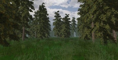 Procedural Pine Tree Creation Image