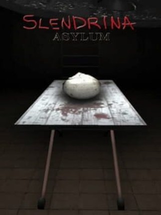 Slendrina: Asylum Image