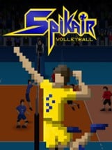 Spikair Volleyball Image